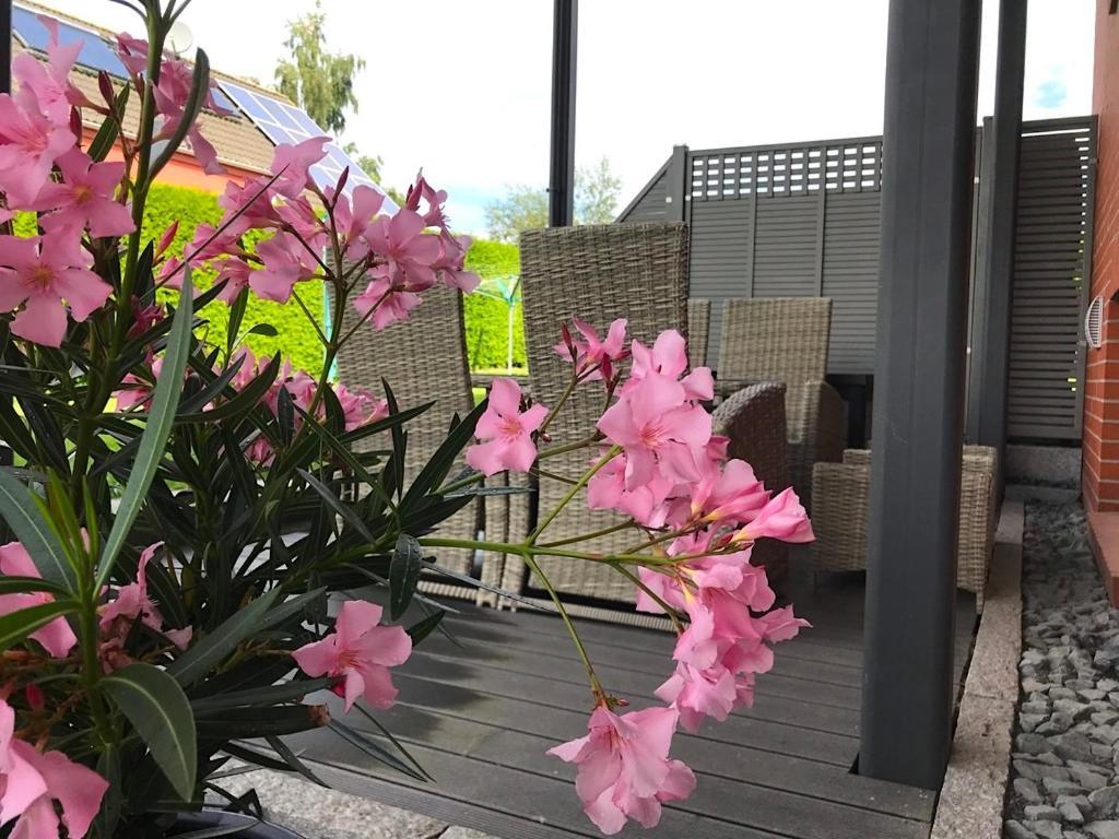 Haus Im Gruenen Apartamento Heringsdorf  Exterior foto